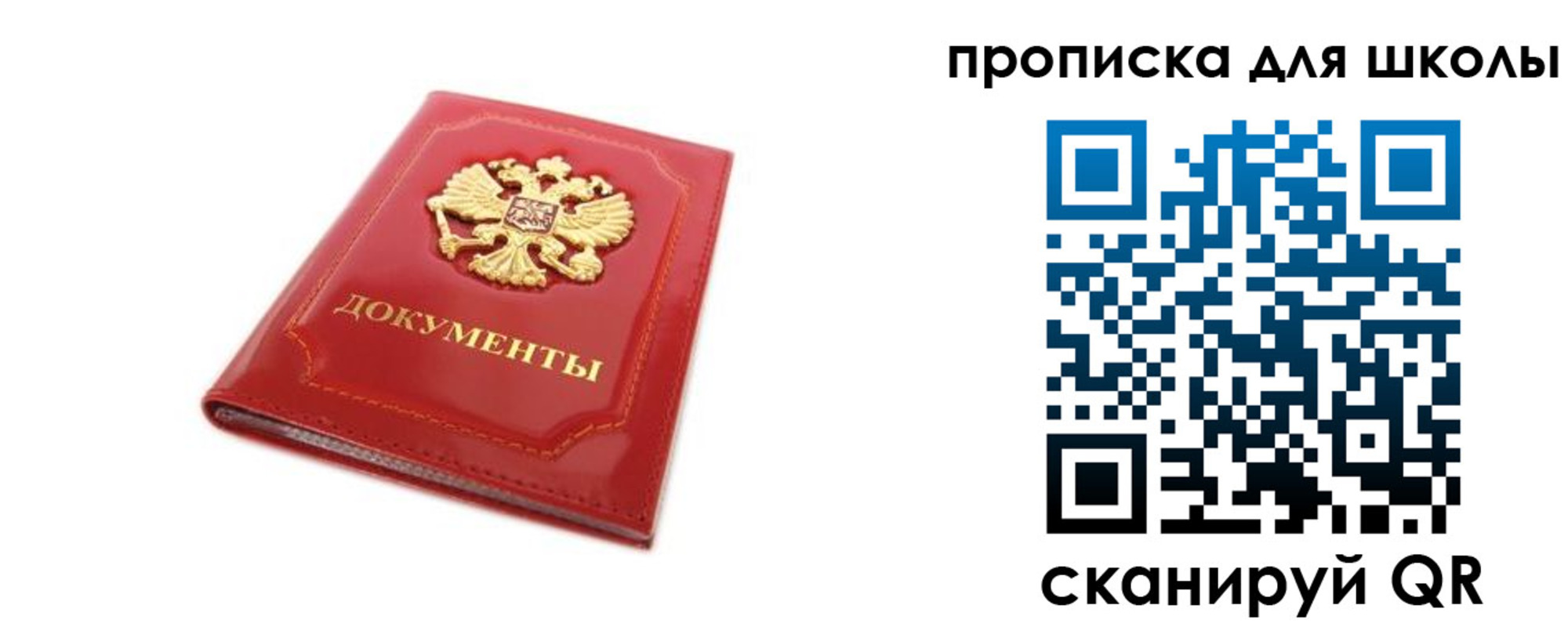 прописка для школы в Жукове